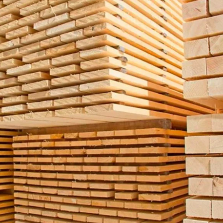 Cherestea de frasin Fraxinus